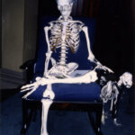 古人骨が語る声を聴く 人類学者が辿った ポリネシアの「海の道」【片山一道】