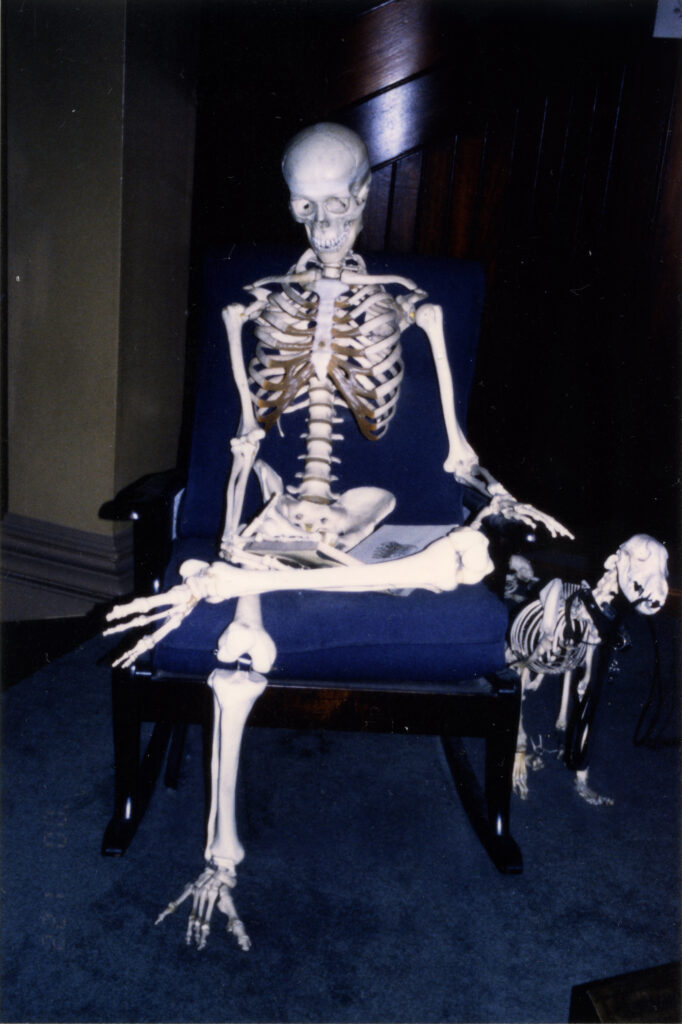 古人骨が語る声を聴く 人類学者が辿った ポリネシアの「海の道」【片山一道】