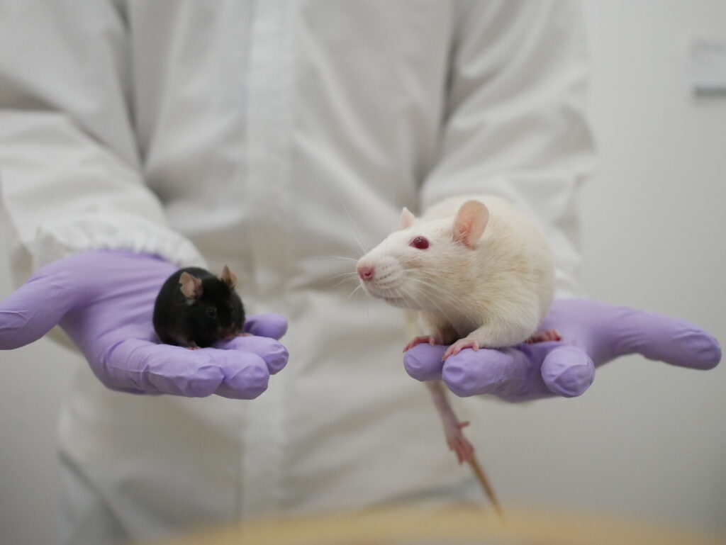 他者と「仲良くなる」メカニズム ──人と人、人と動物、人とロボット【岡部祥太】