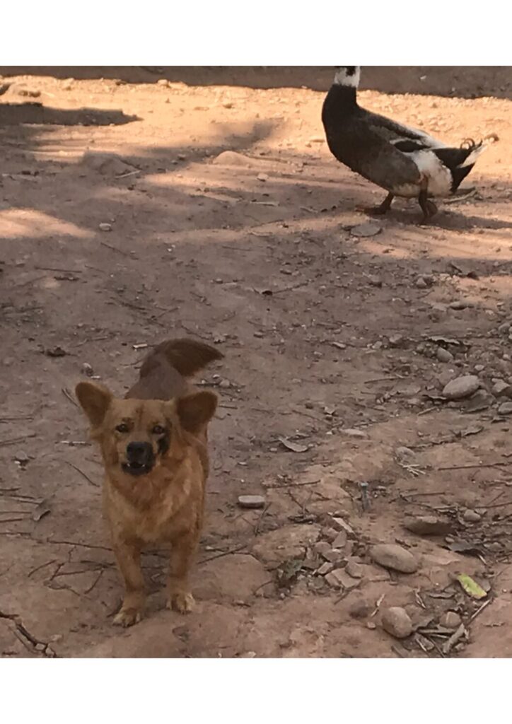 パリオリンピックで考えた日本のＧＤＰと国力【武内宏樹】