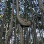 リベラルが負けた日【鈴木一人】