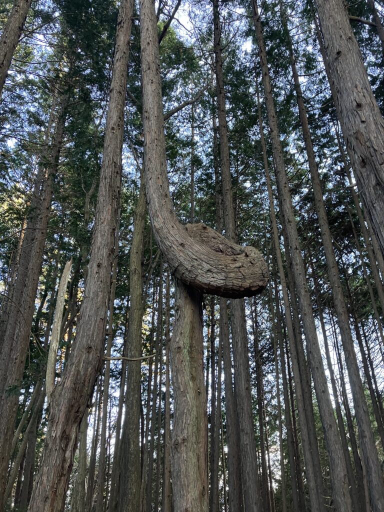 リベラルが負けた日【鈴木一人】