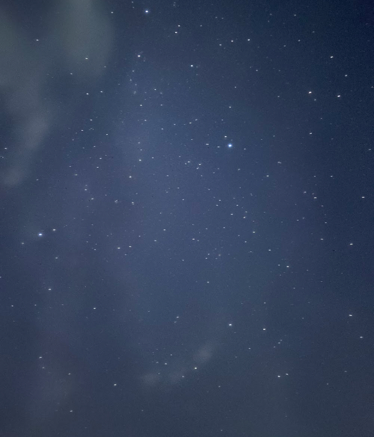 Watch for a good chance【伊沢拓司】