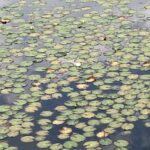 同心円状の世界観【鈴木一人】