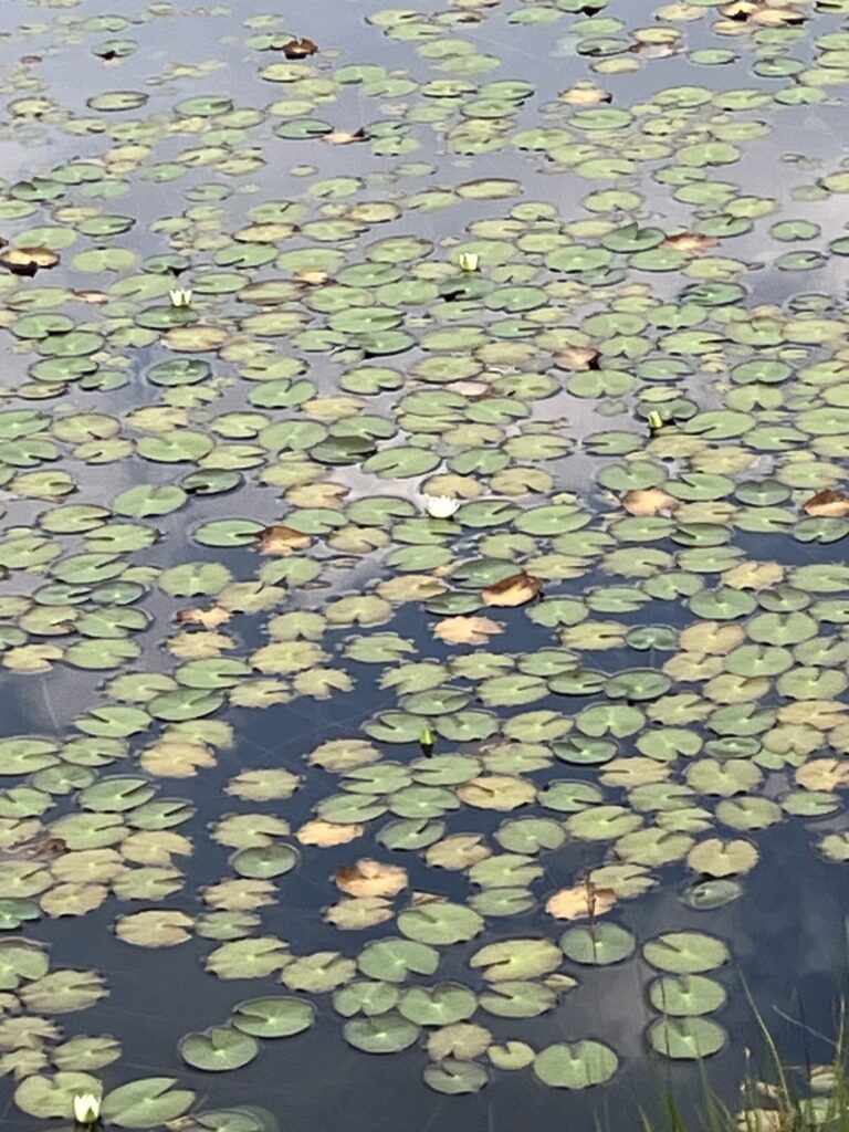 同心円状の世界観【鈴木一人】