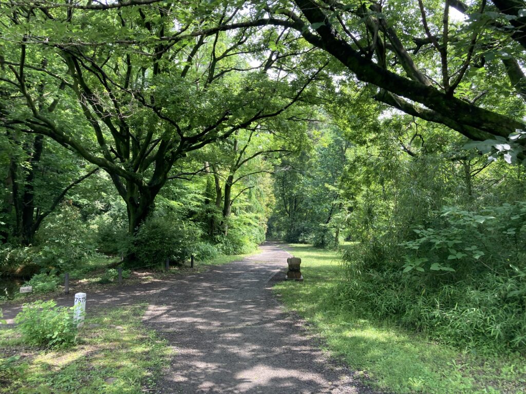 議員定数の削減は何のため？【鎌原勇太】