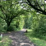 議員定数の削減は何のため？【鎌原勇太】