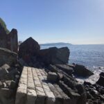 「クラゲ水族館」のお祝いに駆け付けたオットセイ【村上龍男】