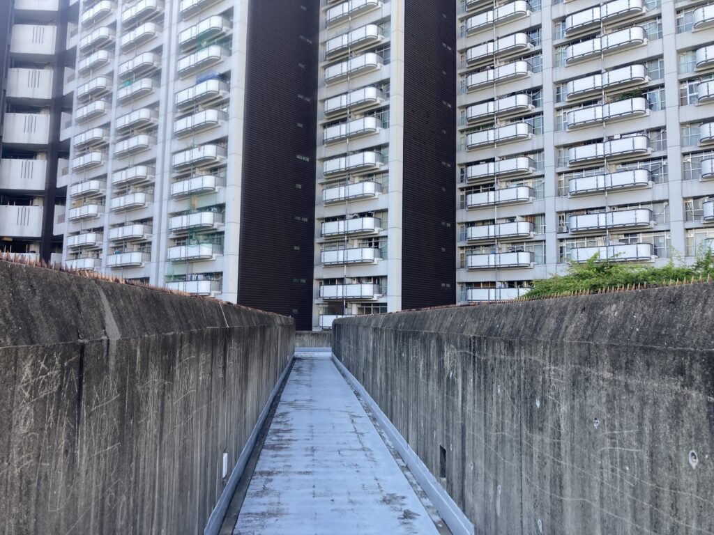 中選挙区制という亡霊【待鳥聡史】