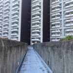 中選挙区制という亡霊【待鳥聡史】