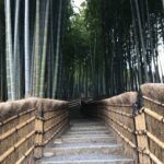 現代文学を読む日々【都甲幸治】