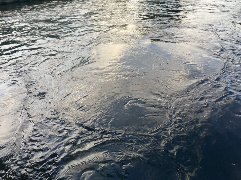 現実味を帯びる「フランス・ポピュリズム政権」の悪夢【国末憲人】