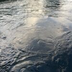 現実味を帯びる「フランス・ポピュリズム政権」の悪夢【国末憲人】