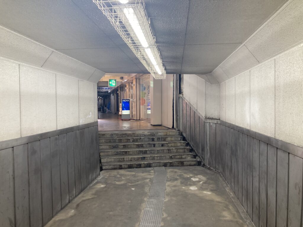 どうする、ニンゲン【山極壽一】