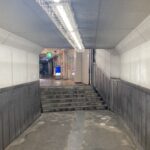どうする、ニンゲン【山極壽一】