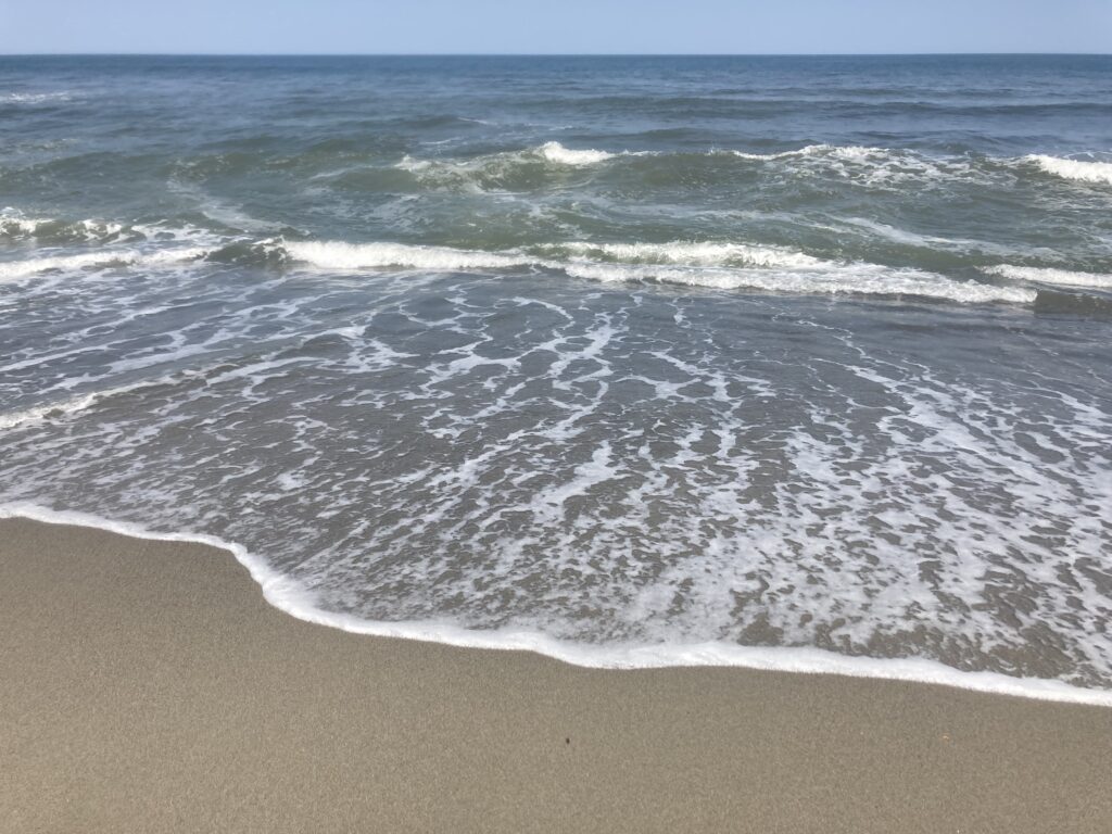 向こう岸の他者へ【遠藤乾】