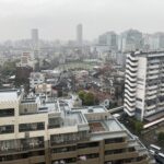 「民主化支援」と「研究力育成」に共通するジレンマ【東島雅昌】
