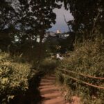 現代中国の映画事情【四方田犬彦】