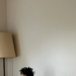 光る玉ねぎ【長嶋 有】